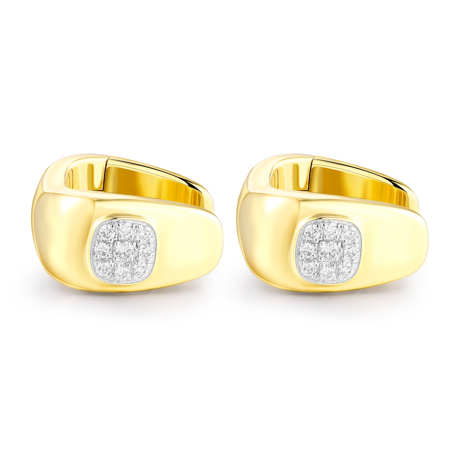 Carel 14K Square Gleam Earring