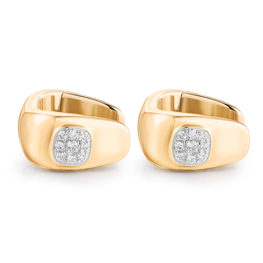 Carel 14K Square Gleam Earring